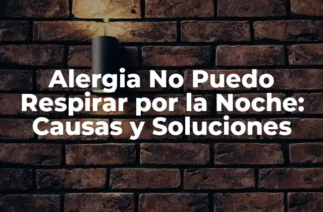 Alergia No Puedo Respirar por la Noche: Causas y Soluciones