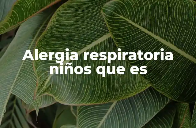 Alergia Respiratoria Niños que es
