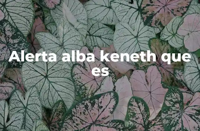 Alerta Alba Keneth que es