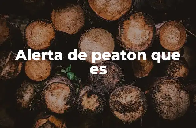 Alerta de Peaton que es