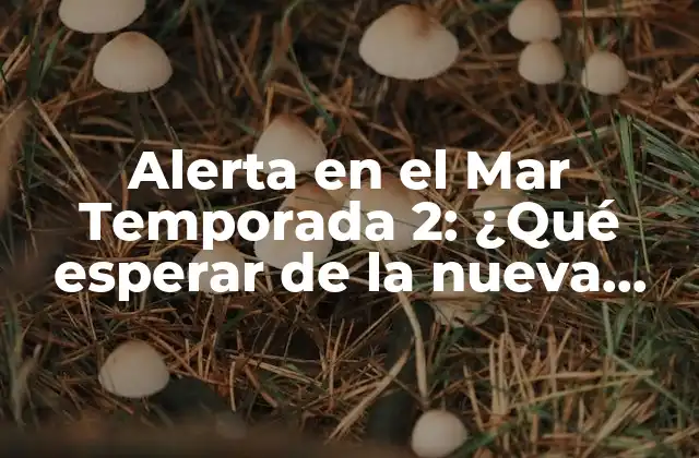 Alerta en el Mar Temporada 2: ¿qué Esperar de la Nueva Temporada de la Serie de Suspenso?