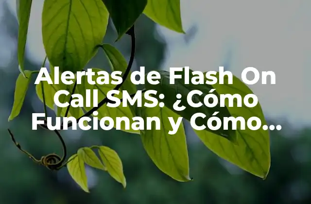 Alertas de Flash On Call Sms: ¿cómo Funcionan y Cómo Activarlas?