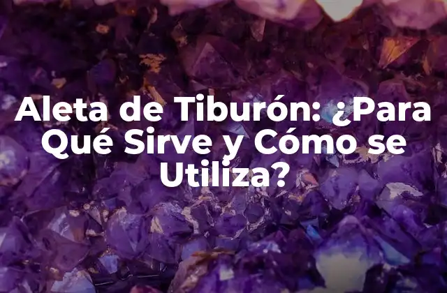 Aleta de Tiburón: ¿para Qué Sirve y Cómo Se Utiliza?