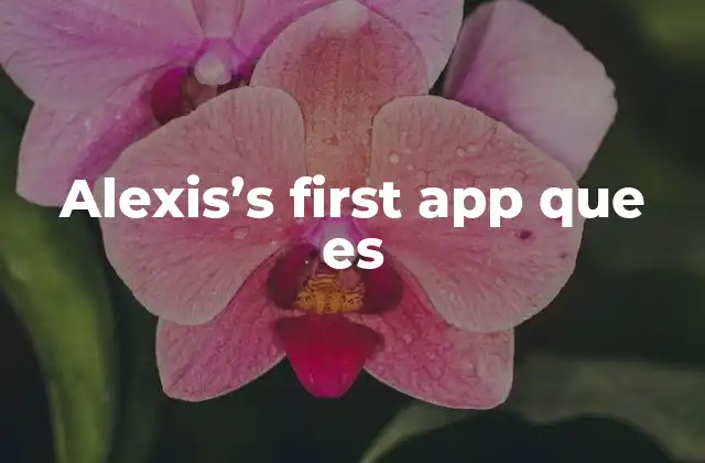 El viaje de un creador: de la idea a la app