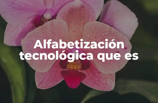 Alfabetización Tecnológica que es