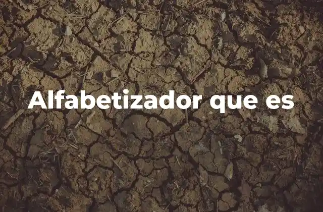 Alfabetizador que es