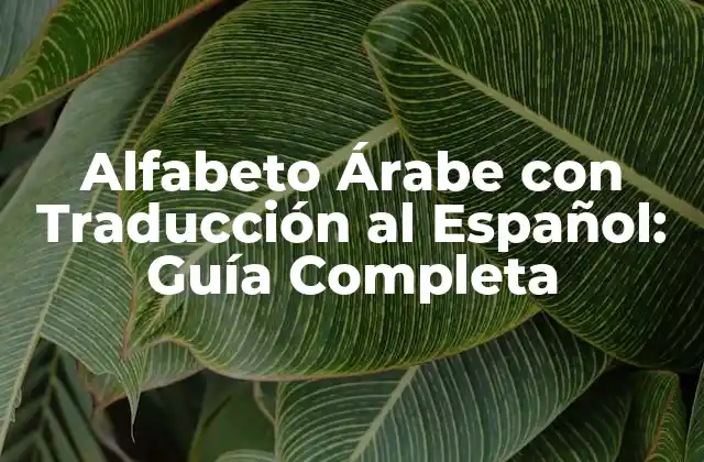 Alfabeto Árabe con Traducción Al Español: Guía Completa