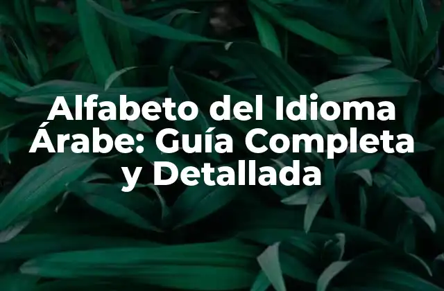 Alfabeto Del Idioma Árabe: Guía Completa y Detallada