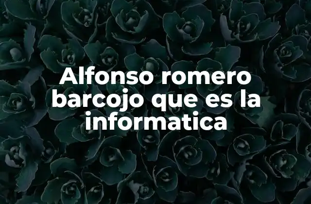 Alfonso Romero Barcojo que es la Informatica