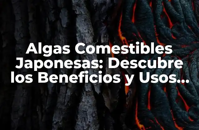 Algas Comestibles Japonesas: Descubre los Beneficios y Usos de las Algas en la Cocina Japonesa