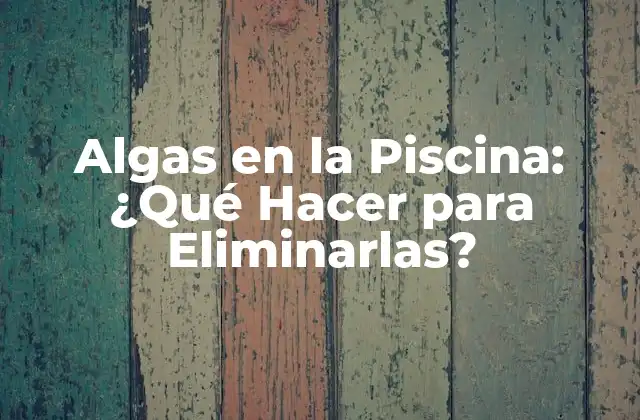 Algas en la Piscina: ¿qué Hacer para Eliminarlas?