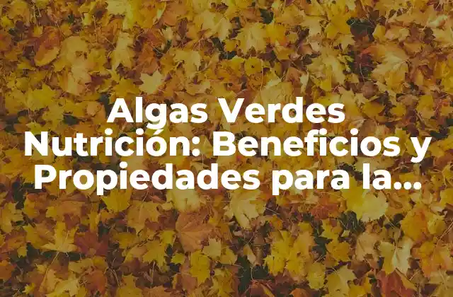 ¿Qué son las Algas Verdes y Cómo se Clasifican?