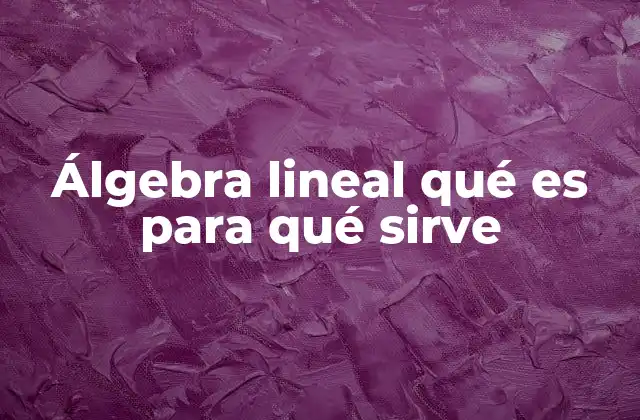 Álgebra Lineal Qué es para Qué Sirve