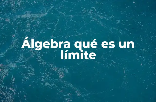 Álgebra Qué es un Límite