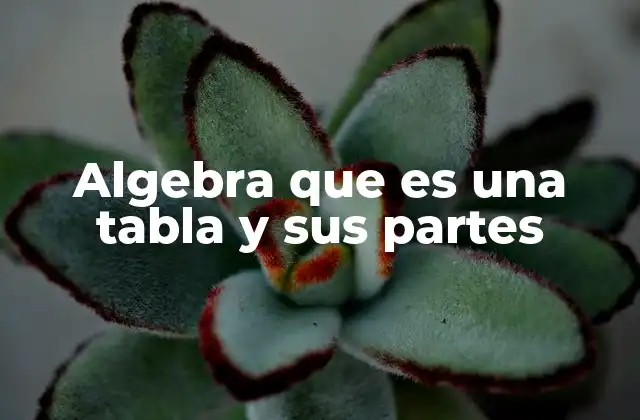 Algebra que es una Tabla y Sus Partes