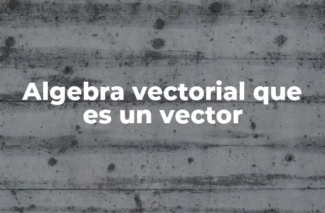 Algebra Vectorial que es un Vector