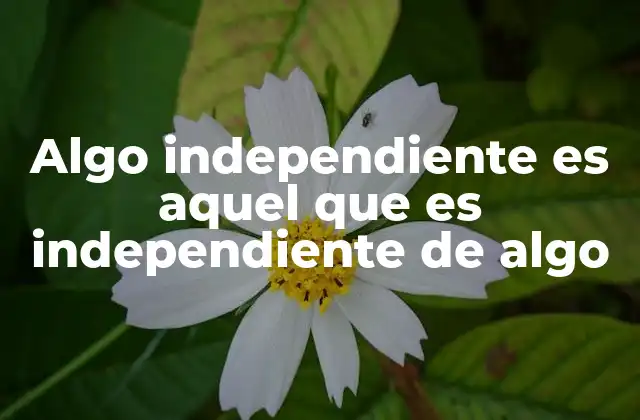 La autonomía como concepto filosófico y práctico