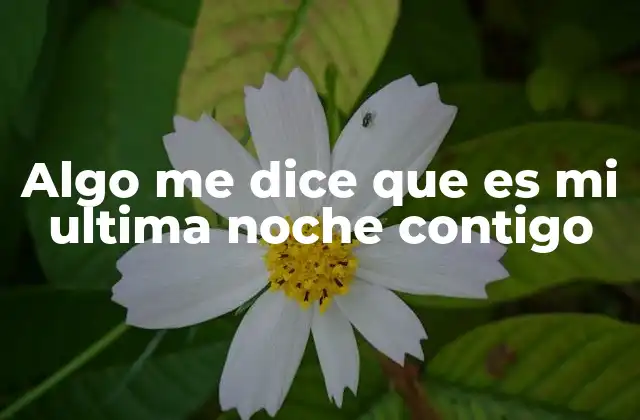 Algo Me Dice que es Mi Ultima Noche Contigo