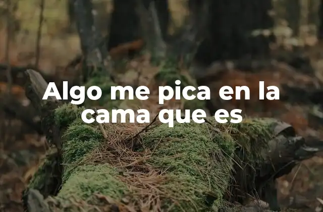 Algo Me Pica en la Cama que es