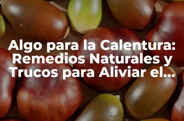 Algo para la Calentura: Remedios Naturales y Trucos para Aliviar el Malestar
