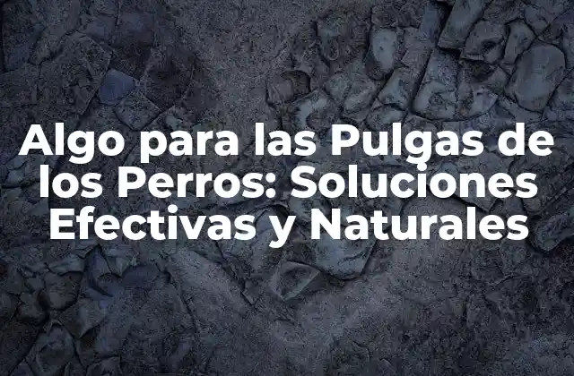 Algo para las Pulgas de los Perros: Soluciones Efectivas y Naturales