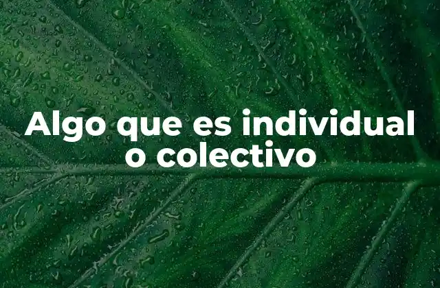 Algo que es Individual o Colectivo