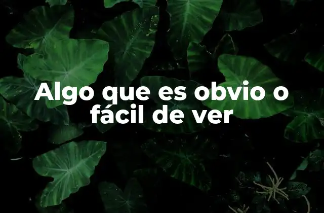 Algo que es Obvio o Fácil de Ver