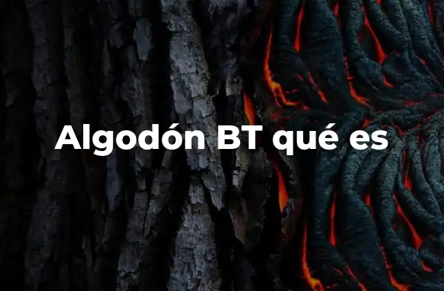 Algodón Bt Qué es