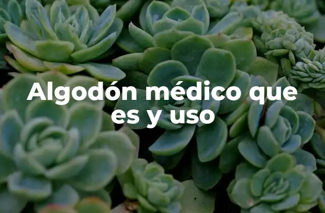 Algodón Médico que es y Uso