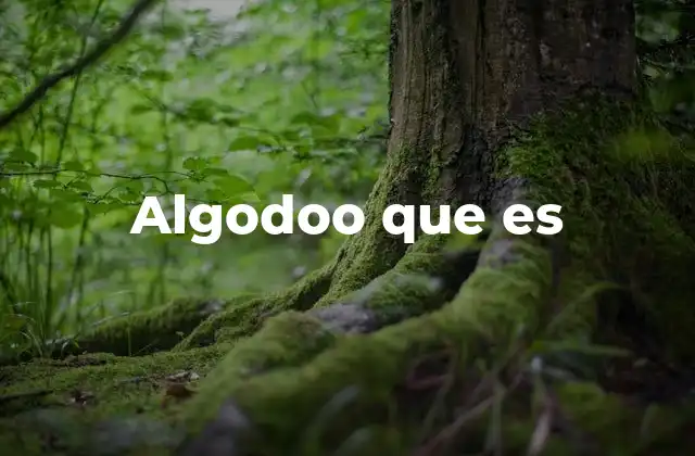 Algodoo que es 2 Cómo funciona la simulación física en Algodoo