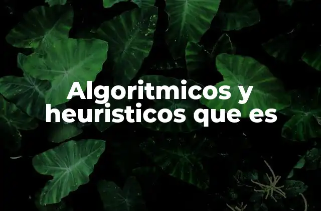 Algoritmicos y Heuristicos que es