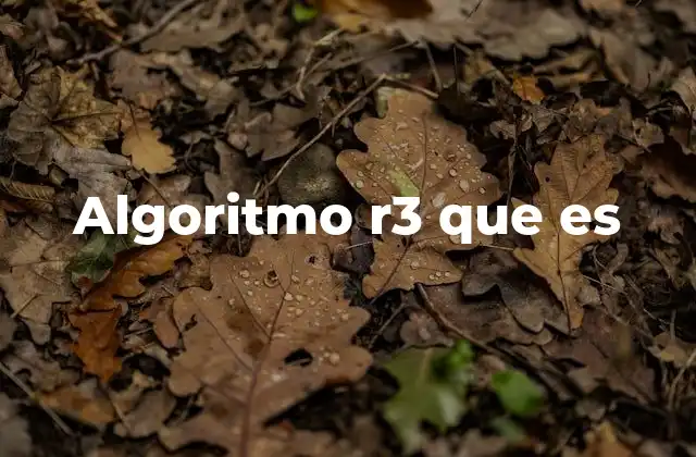 Algoritmo R3 que es