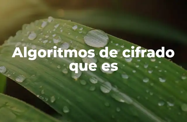 Algoritmos de Cifrado que es