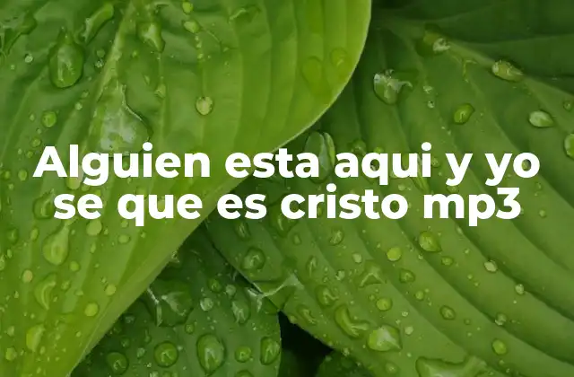 Alguien Esta Aqui y Yo Se que es Cristo Mp3