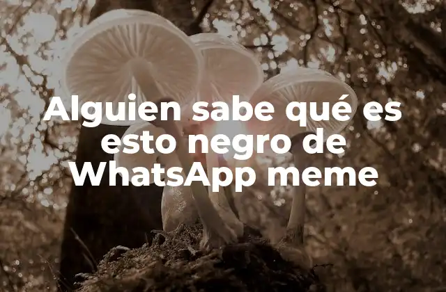 Alguien Sabe Qué es Esto Negro de Whatsapp Meme