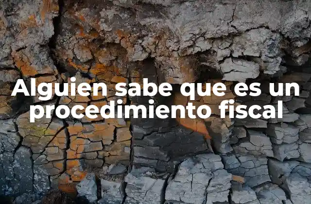 Alguien Sabe que es un Procedimiento Fiscal
