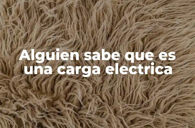 Alguien Sabe que es una Carga Electrica