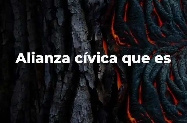 Alianza Cívica que es