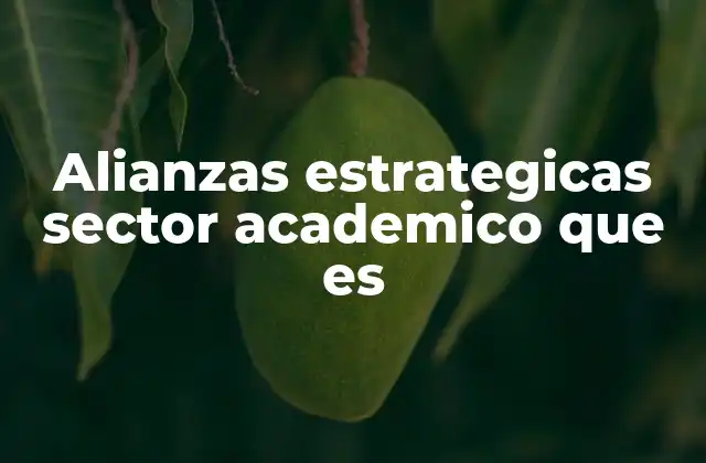 Alianzas Estrategicas Sector Academico que es