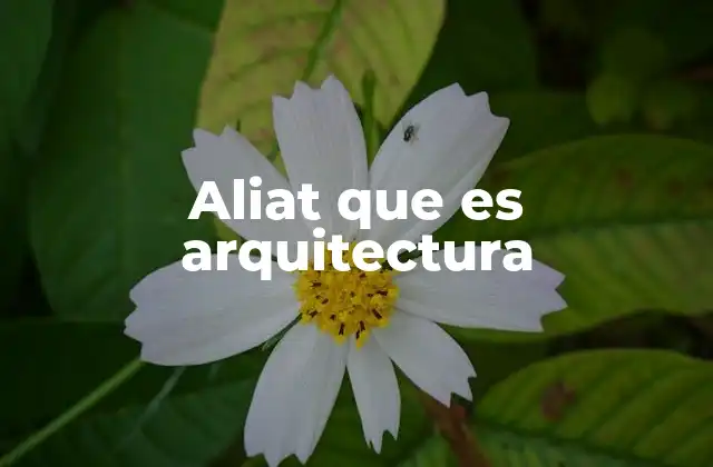 Aliat que es Arquitectura