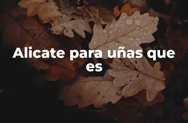 Alicate para Uñas que es