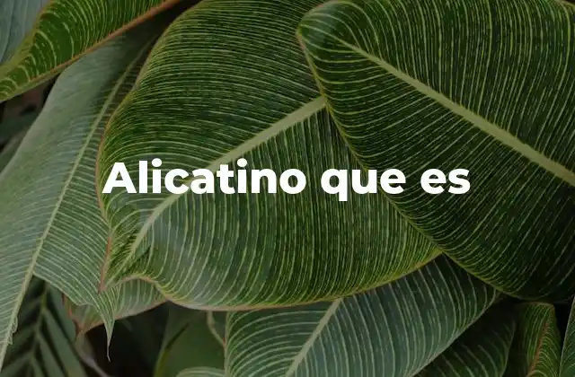 Alicatino que es