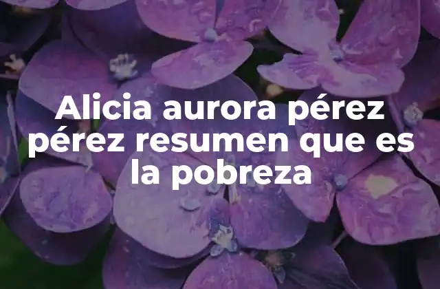 Alicia Aurora Pérez Pérez Resumen que es la Pobreza