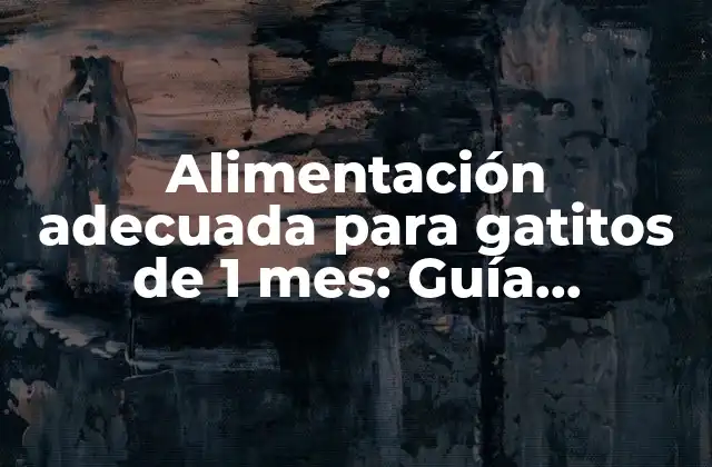 Alimentación Adecuada para Gatitos de 1 Mes: Guía Completa de Comida para Gatitos Recién Nacidos