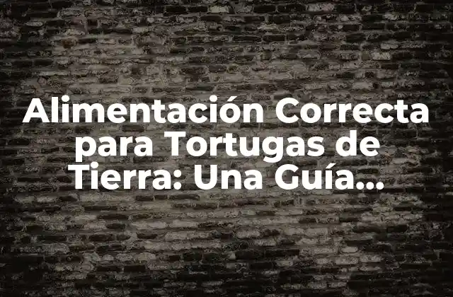 Alimentación Correcta para Tortugas de Tierra: una Guía Completa