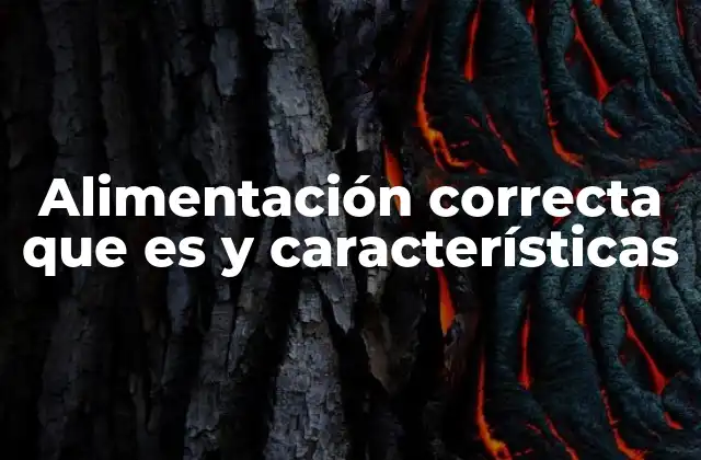 Alimentación Correcta que es y Características