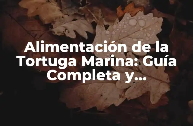 Alimentación de la Tortuga Marina: Guía Completa y Actualizada