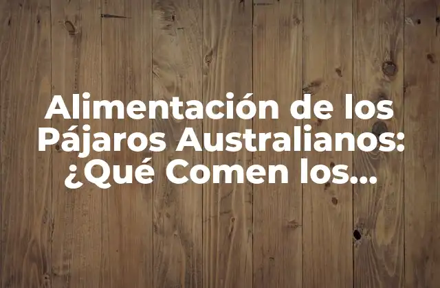 Alimentación de los Pájaros Australianos: ¿qué Comen los Pájaros en Australia?