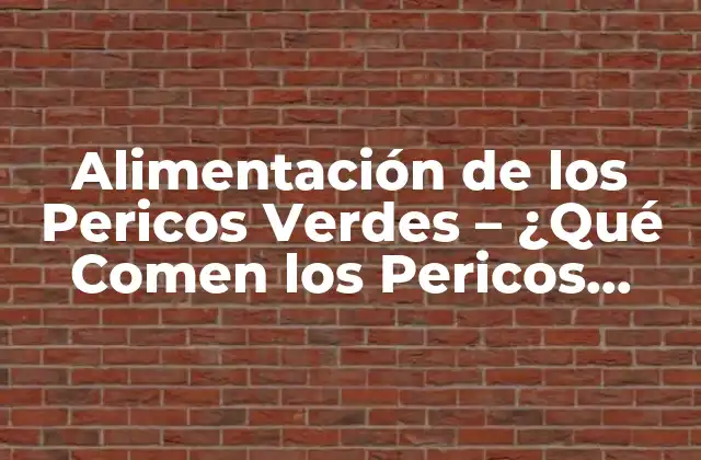 Alimentación de los Pericos Verdes – ¿qué Comen los Pericos Verdes?