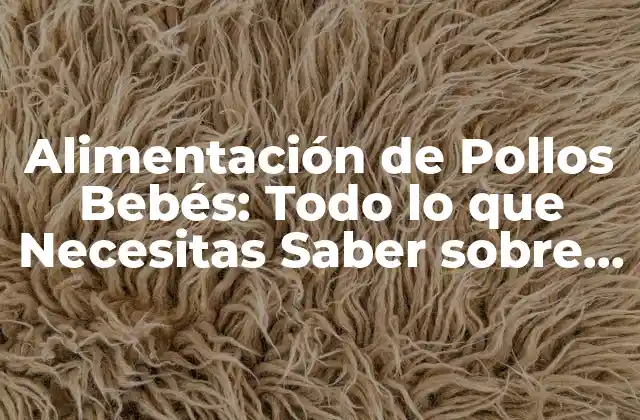 Alimentación de Pollos Bebés: Todo Lo que Necesitas Saber sobre el Alimento para Pollitos